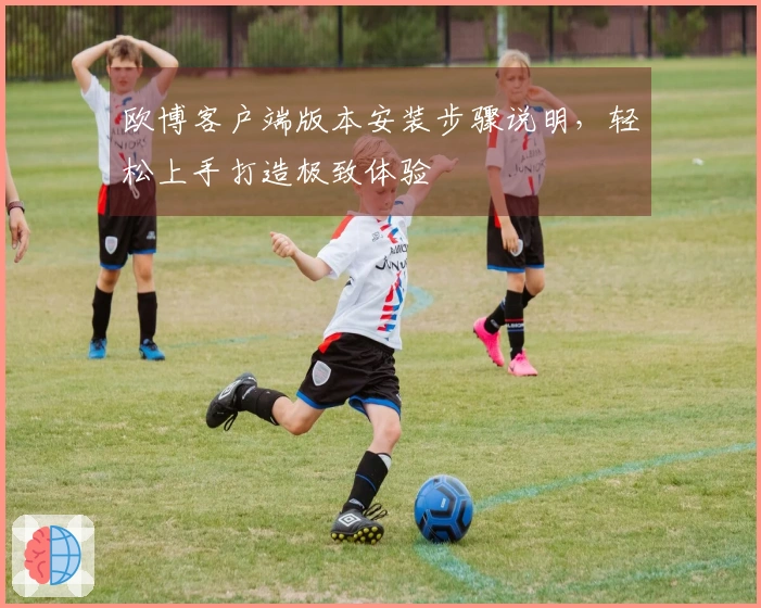 欧博客户端版本安装步骤说明,轻松上手打造极致体验